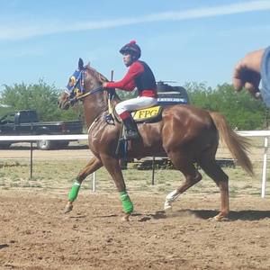 Meet your Posher, Cesar